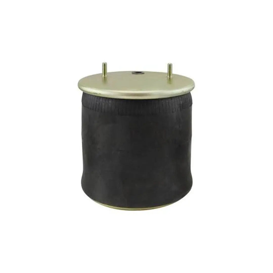 BPW AIRBAG D30K COMPLETE WITH PISTON